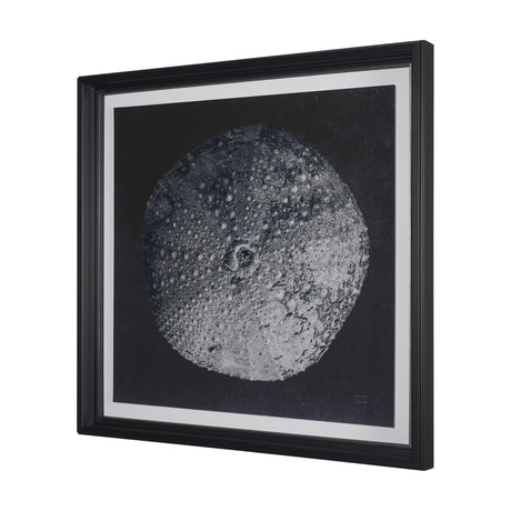 Urchin Still Life III by Nathan Larson a Hand Embellished Framed Photo Art Print Matted under Glass by Mercana at Eve Furniture