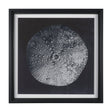 Urchin Still Life III by Nathan Larson a Hand Embellished Framed Photo Art Print Matted under Glass by Mercana at Eve Furniture