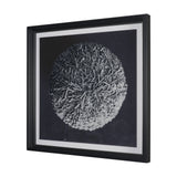 Urchin Still Life IV by Nathan Larson a Hand Embellished Framed Photo Art Print Matted under Glass by Mercana at Eve Furniture