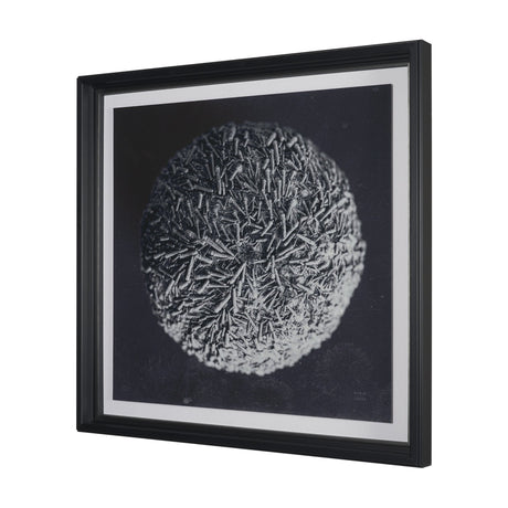 Urchin Still Life IV by Nathan Larson a Hand Embellished Framed Photo Art Print Matted under Glass by Mercana at Eve Furniture