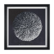 Urchin Still Life IV by Nathan Larson a Hand Embellished Framed Photo Art Print Matted under Glass by Mercana at Eve Furniture