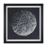 Urchin Still Life IV by Nathan Larson a Hand Embellished Framed Photo Art Print Matted under Glass by Mercana at Eve Furniture