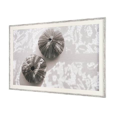 Urchins in Lace I by Deborah Revell a Hand Embellished Framed Print under Glass by Mercana at Eve Furniture