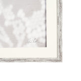 Urchins in Lace I by Deborah Revell a Hand Embellished Framed Print under Glass by Mercana at Eve Furniture