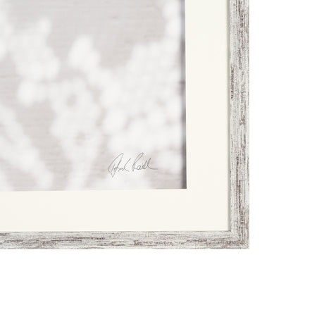 Urchins in Lace I by Deborah Revell a Hand Embellished Framed Print under Glass by Mercana at Eve Furniture