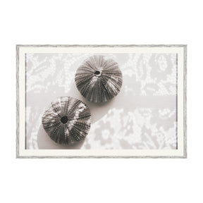 Urchins in Lace I by Deborah Revell a Hand Embellished Framed Print under Glass by Mercana at Eve Furniture