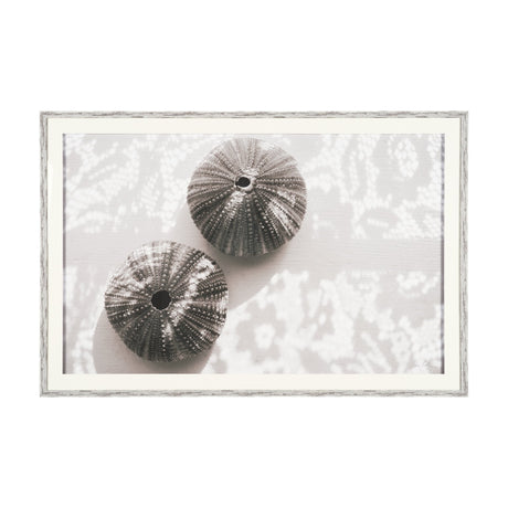 Urchins in Lace I by Deborah Revell a Hand Embellished Framed Print under Glass by Mercana at Eve Furniture