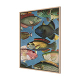 Vadum Piscis by Mercana Studio a Hand Embelished Textured Framed Art Print by Mercana at Eve Furniture