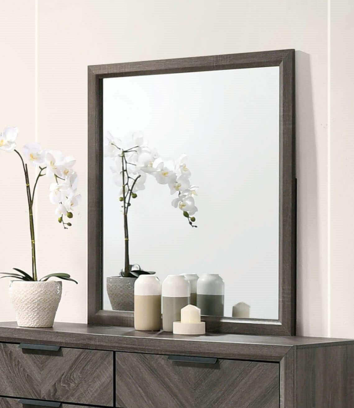 Vagan Gray Mirror by Furniture of America at Eve Furniture