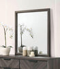 Vagan Gray Mirror by Furniture of America at Eve Furniture