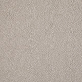 Valdez Beige Boucle Upholstered Barrel Back Accent Chair by Coaster at Eve Furniture