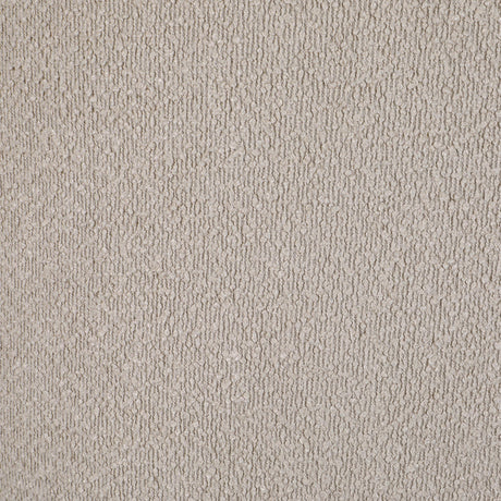 Valdez Beige Boucle Upholstered Barrel Back Accent Chair by Coaster at Eve Furniture