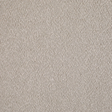 Valdez Beige Boucle Upholstered Barrel Back Accent Chair by Coaster at Eve Furniture