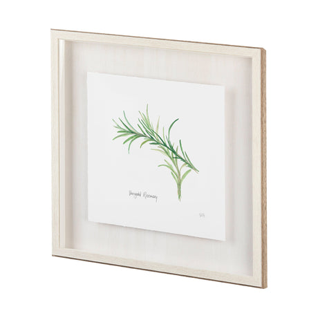 Variegated Rosemary v2 by Chris Paschke a Framed Art Print Matted under Glass by Mercana at Eve Furniture