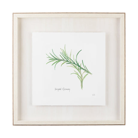 Variegated Rosemary v2 by Chris Paschke a Framed Art Print Matted under Glass by Mercana at Eve Furniture