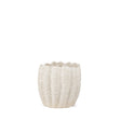 Velia Short Seashell Sculptural Cream Glazed Ceramic Vase by Mercana at Eve Furniture