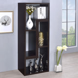 Velma Convertible TV Console/Bookcase Cappuccino