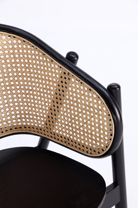 Versailles Armchair in Black and Natural Cane by Manhattan Comfort at Eve Furniture