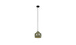 Vida Pendant Lamp Green by Moe's Home at Eve Furniture