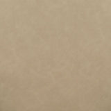 Vina Vegan Leather Dining Chair by TOV Furniture at Eve Furniture