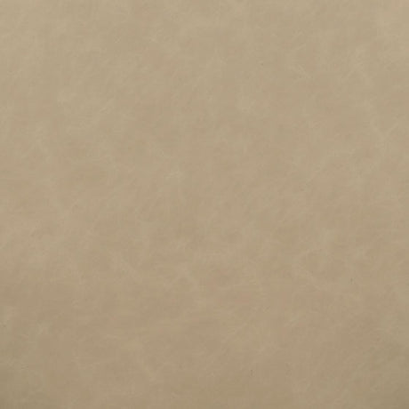 Vina Vegan Leather Dining Chair by TOV Furniture at Eve Furniture