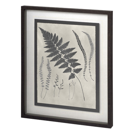 Vintage Fern Study by Mercana Studio a Hand Embellished Textured Framed Art Print Matted under Glass by Mercana at Eve Furniture