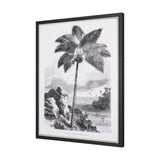 Vintage Palm Tree Drawing I by Les Palmiers Histoire Embellished Textured Framed Canvas by Mercana at Eve Furniture