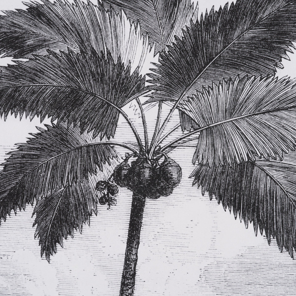 Vintage Palm Tree Drawing I by Les Palmiers Histoire Embellished Textured Framed Canvas by Mercana at Eve Furniture