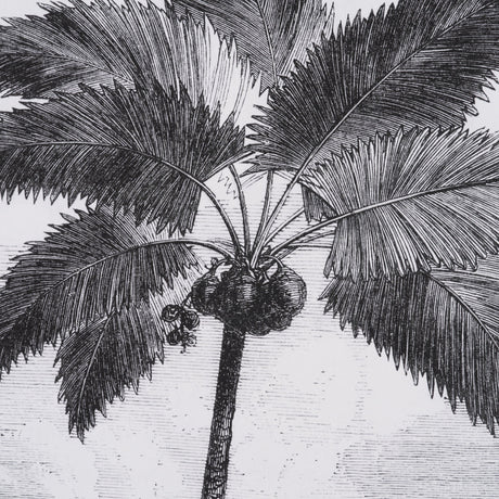 Vintage Palm Tree Drawing I by Les Palmiers Histoire Embellished Textured Framed Canvas by Mercana at Eve Furniture