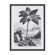 Vintage Palm Tree Drawing I by Les Palmiers Histoire Embellished Textured Framed Canvas by Mercana at Eve Furniture