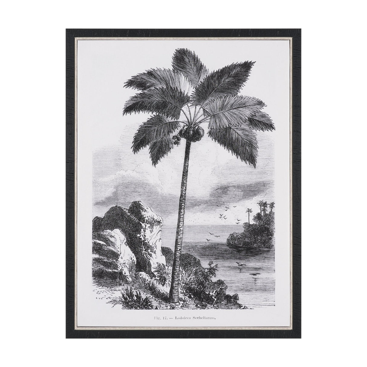 Vintage Palm Tree Drawing I by Les Palmiers Histoire Embellished Textured Framed Canvas by Mercana at Eve Furniture