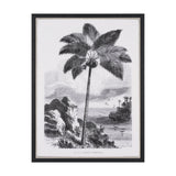 Vintage Palm Tree Drawing I by Les Palmiers Histoire Embellished Textured Framed Canvas by Mercana at Eve Furniture