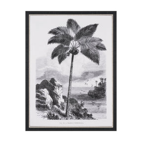 Vintage Palm Tree Drawing I by Les Palmiers Histoire Embellished Textured Framed Canvas by Mercana at Eve Furniture