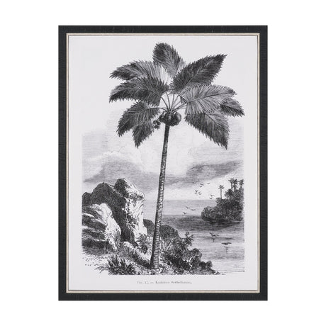 Vintage Palm Tree Drawing I by Les Palmiers Histoire Embellished Textured Framed Canvas by Mercana at Eve Furniture