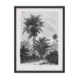 Vintage Palm Tree Drawing V by Les Palmiers Histoire a Hand Embellished Textured Framed Canvas by Mercana at Eve Furniture