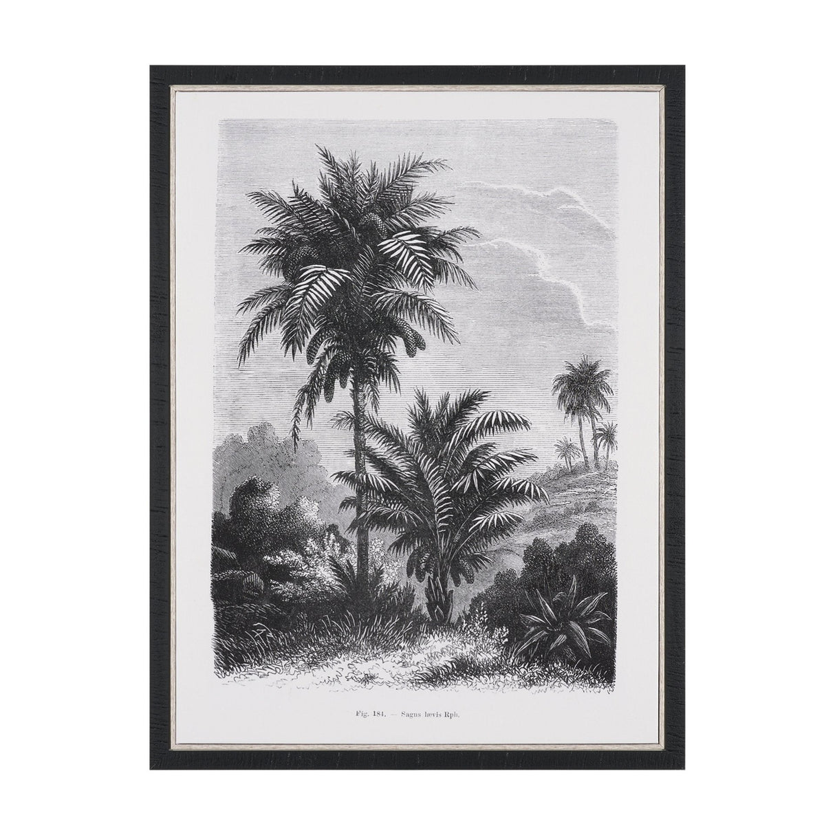 Vintage Palm Tree Drawing V by Les Palmiers Histoire a Hand Embellished Textured Framed Canvas by Mercana at Eve Furniture