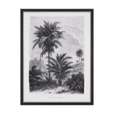 Vintage Palm Tree Drawing V by Les Palmiers Histoire a Hand Embellished Textured Framed Canvas by Mercana at Eve Furniture
