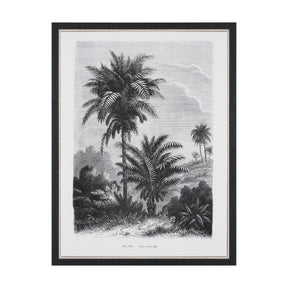 Vintage Palm Tree Drawing V by Les Palmiers Histoire a Hand Embellished Textured Framed Canvas by Mercana at Eve Furniture