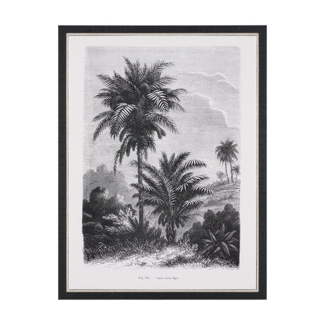 Vintage Palm Tree Drawing V by Les Palmiers Histoire a Hand Embellished Textured Framed Canvas by Mercana at Eve Furniture
