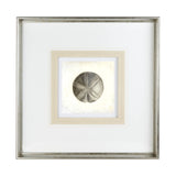 Vintage Sand Dollar by Mercana Studio a Framed Art Print Matted under Glass by Mercana at Eve Furniture