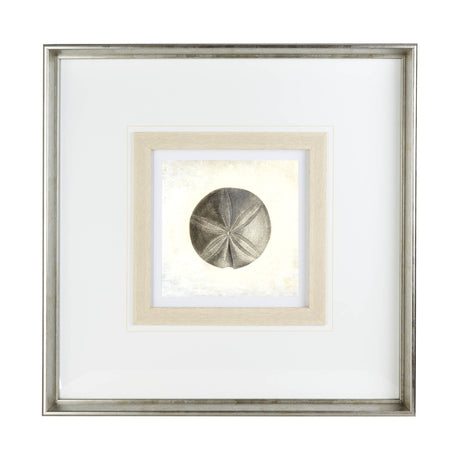 Vintage Sand Dollar by Mercana Studio a Framed Art Print Matted under Glass by Mercana at Eve Furniture