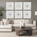 Vintage Sand Dollar by Mercana Studio a Framed Art Print Matted under Glass by Mercana at Eve Furniture