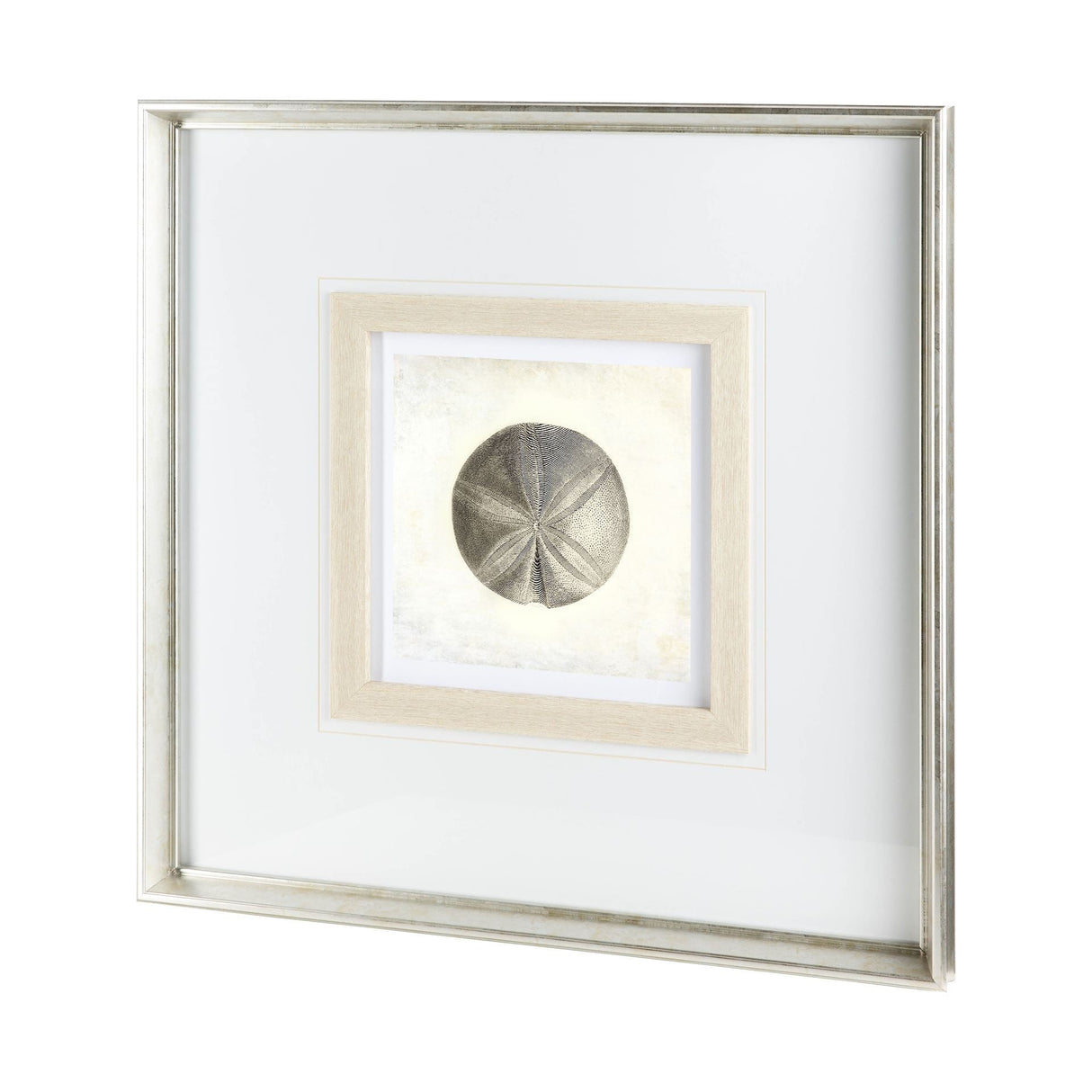 Vintage Sand Dollar by Mercana Studio a Framed Art Print Matted under Glass by Mercana at Eve Furniture