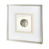 Vintage Sand Dollar by Mercana Studio a Framed Art Print Matted under Glass by Mercana at Eve Furniture