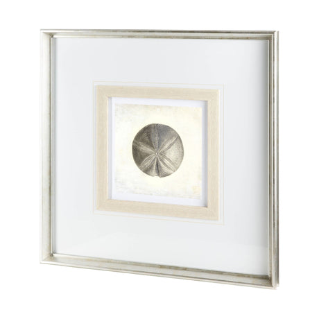 Vintage Sand Dollar by Mercana Studio a Framed Art Print Matted under Glass by Mercana at Eve Furniture