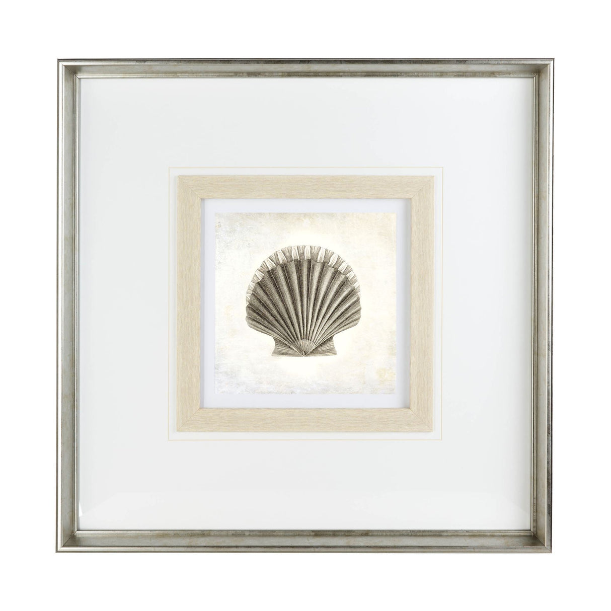 Vintage Scallop Shell by Mercana Studio a Framed Art Print Matted under Glass by Mercana at Eve Furniture