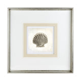 Vintage Scallop Shell by Mercana Studio a Framed Art Print Matted under Glass by Mercana at Eve Furniture