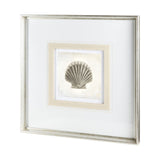 Vintage Scallop Shell by Mercana Studio a Framed Art Print Matted under Glass by Mercana at Eve Furniture