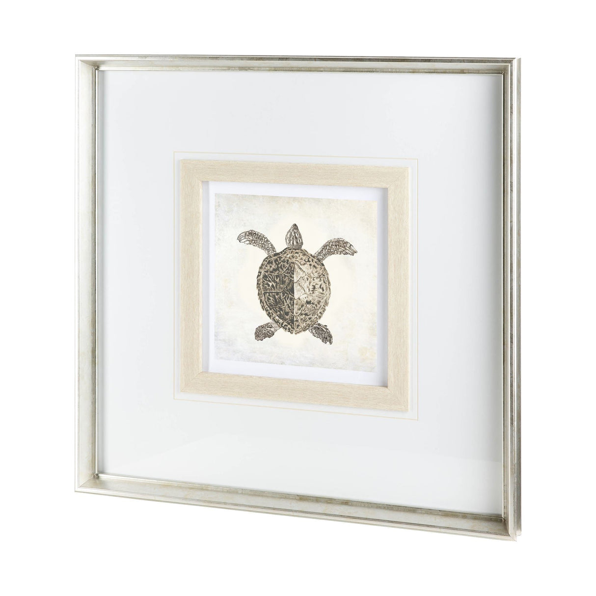 Vintage Sea Turtle by Mercana Studio a Framed Art Print Matted under Glass by Mercana at Eve Furniture