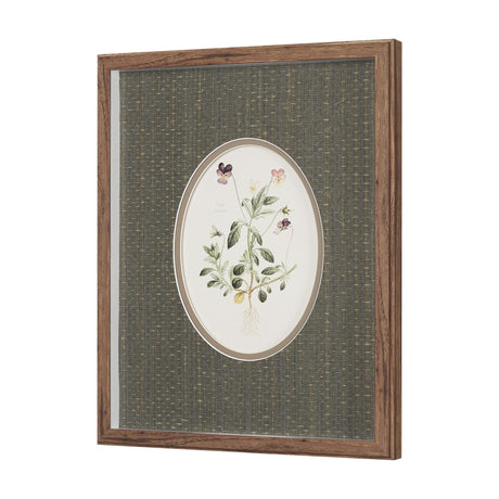 Viola Arvensis Flowers by Pierre Joseph Redoute a Hand Embellished Framed Print under Glass by Mercana at Eve Furniture